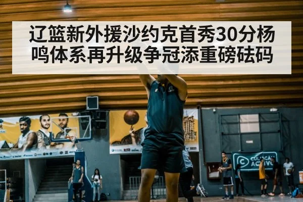辽篮新外援沙约克首秀30分杨鸣体系再升级争冠添重磅砝码